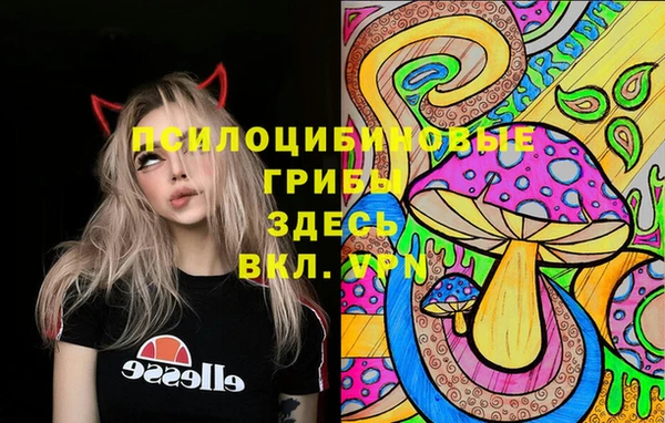 jwh Алзамай