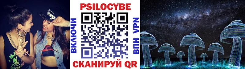 Псилоцибиновые грибы Psilocybine cubensis  блэк спрут ССЫЛКА  Новосиль 